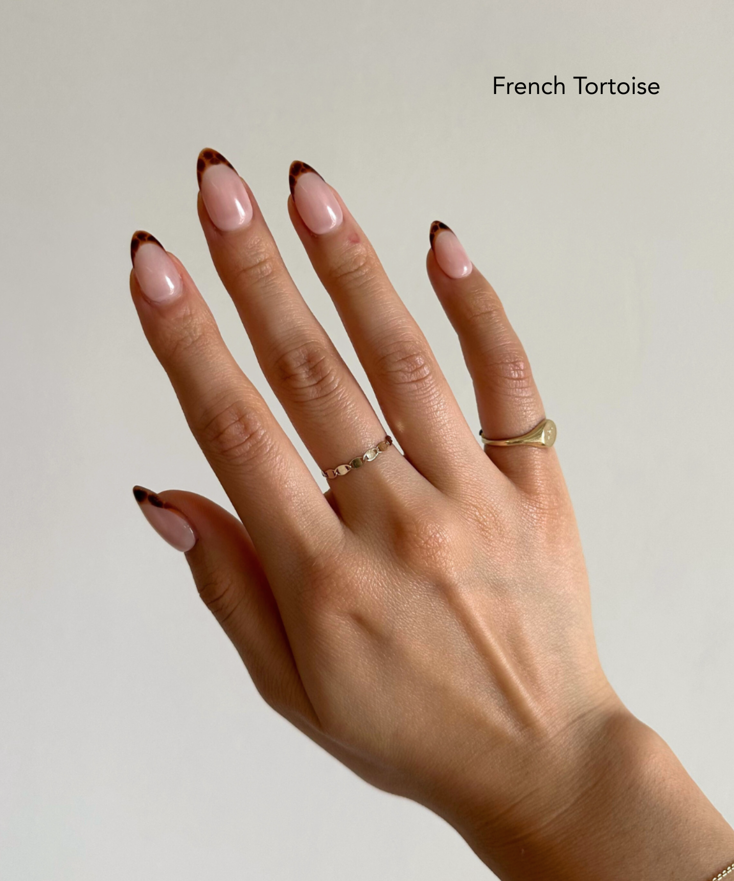 FALL FRENCH BUNDLE