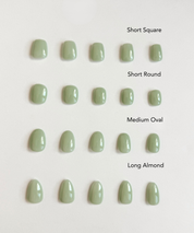 MATCHA